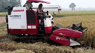 YANMAR AW 70 GV 2 Harvester Performance video [upl. by Eerolam]