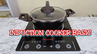 INDUCTION COOKER BASIC REVIEW [upl. by Donaugh754]