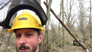 Logging with a 2500 lb Harbor Freight Badland winch [upl. by Necaj40]