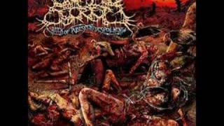 Guttural Secrete  Coprophilic Asphyxia [upl. by Fulks]