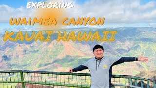 Scenic Waimea Canyon Drive Kauai Hawaii [upl. by Beekman]