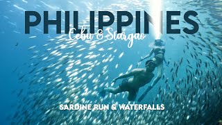 Philippines with 8 Miles from Home  Moalboal Sardine Run and Mantayupan Falls  Part 3 [upl. by Anyl879]