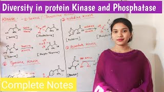 diversity in protein kinase and phosphatase  types and function of kinase and phosphatase  Hindi [upl. by Aronson100]