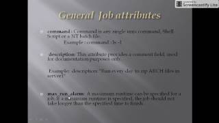 Autosys Job Attributes in details Class 9 [upl. by Schaaff]