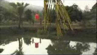 Orange Flying Chinese Lantern released in Thai countryside [upl. by Mecke]