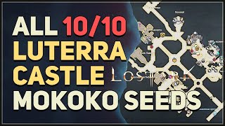 All 10 Luterra Castle Mokoko Seed Locations Lost Ark [upl. by Zulaledairam]