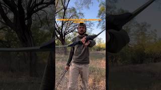 Budget bow hunt bowhunting survival longbow recurve cheapbow camping [upl. by Waller]