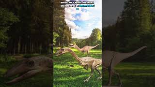 💎 El COELOPHYSIS  Velocidad y Agilidad TRIÁSICA 🌎 [upl. by Collin876]