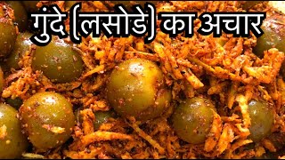 Gunde Ka Achar  Lasode Ka Achar  Rajasthani Gunda Pickle Recipe  pritis kitchen [upl. by Irej]