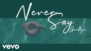 Never say goodbye  Lyrics [upl. by Lener]