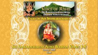 Sri Sankaracharyas Atma Bodham Verses Tamil [upl. by Nehgam]