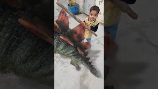 dinosaur dinor cutebaby viralvideo shorts comedy shortvideo trending dinosar [upl. by Adnic]