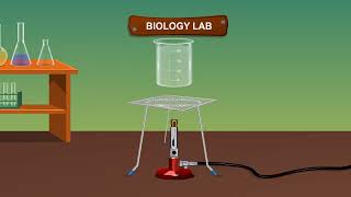 TO STUDY THE POLLEN TUBE GROWTH IN STIGMA [upl. by Kylander]