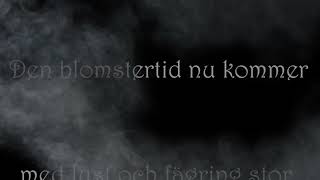 Blomstertid  Martin Wave BJOERN  Lyrics [upl. by Egamlat896]