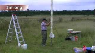 3m tall water rocket [upl. by Elatia]