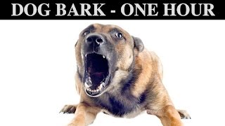 Sound Effects Of Dog Barking  ONE HOUR  BARK  GROWLING  CRY  PUPPY  WHINING  HQ [upl. by Walcott]