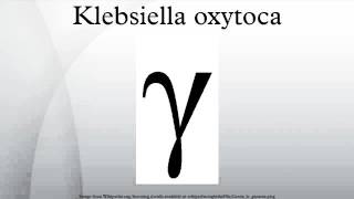 Klebsiella oxytoca [upl. by Kistner596]