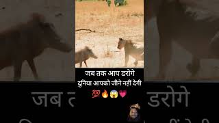 यह क्या हैtrending love motivation animals wildlife youtubeshorts shorts [upl. by Artnoed]