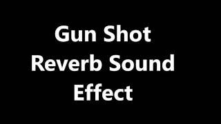 Gun Shot Reverb Sound Effect [upl. by Madelin]