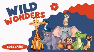 Wild Wonders Episode One [upl. by Egamlat]