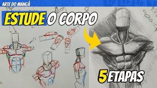 Como EU estudo ANATOMIA EM 5 ETAPAS  DESENHE O CORPO DE ANIME [upl. by Ainegul]