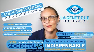 Le dépistage prénatal  létape de léchographie de clarté nucale au premier trimestre de grossesse [upl. by Nigem]