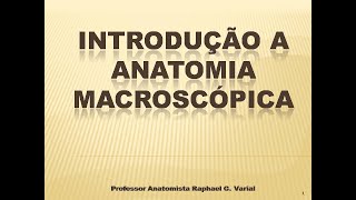 Introdução à Anatomia macroscópica [upl. by Weingarten]