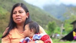 Documental Indígenas Uwa Colombia  Guardianes de la Madre Tierra [upl. by Remus587]