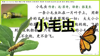 第22课《小毛虫》A Little Caterpillar Part 1 识字课文 部首…声旁…字…识字游戏 Grade 2 B LearnChinese 学汉语 二年级语文下册 [upl. by Aral]