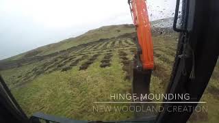 Hinge Mounding New woodland creation time lapse [upl. by Adlay]