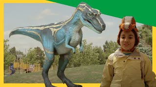 🦕🦖Ultimate Dino Showdown TRex vs Albertosaurus  More Dinosaur Adventures  Dino Dana DinoKids [upl. by Grayson]