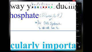 Pentose phosphate pathway I II1 by doctor Heba [upl. by Rayburn]