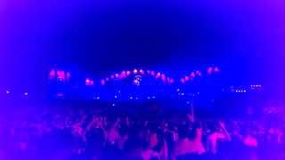 Steve Aoki  Tomorrowland 2014 Weekend 1 Mainstage  Sunday [upl. by Ahsemaj180]