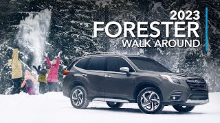 2023 Subaru Forester and Forester Wilderness Walk Around – Always ready for adventure [upl. by Fennie]