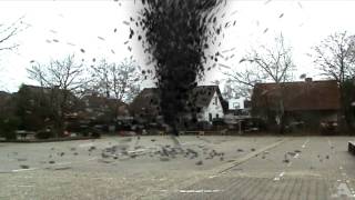 Tornado At School [upl. by Trixie]