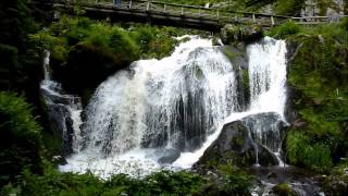 Der Triberger Wasserfall im Schwarzwald [upl. by Sesiom]