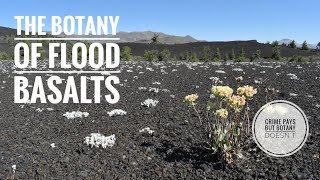 Flood Basalt Botany of Idaho [upl. by Razaele]