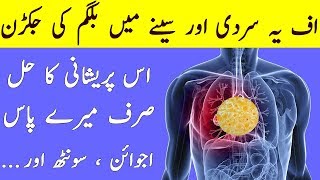 Remove Phlegm From Chest and Throat  Permanently Remove Phlegm Dasi Treatment [upl. by Debbee157]