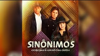 sinônimos karaokê 🎤 [upl. by Rotman]