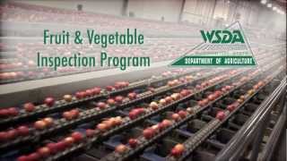 WSDAs Fresh Fruit amp Vegetable Inspection Program [upl. by Hadden252]