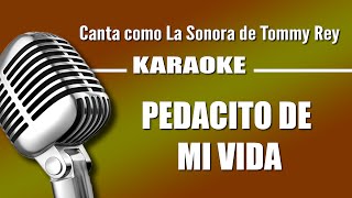 Pedacito de mi Vida con letra  La Sonora de Tommy Rey karaoke [upl. by Nats876]