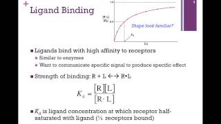 Chemical Bonds Covalent vs Ionic [upl. by Bertold]