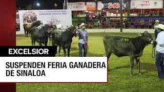 Culiacán sin Feria Ganadera y sin Palenque por violencia [upl. by Azmah]