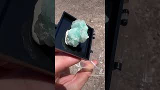 Aurichalcite makes this piece pop Pay to dig location in Magdalena New Mexico [upl. by Chuu]