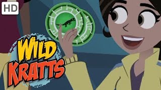 Wild Kratts  Top Season 1 Moments 2 Hours  Kids Videos [upl. by Rayshell]