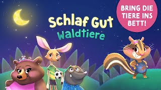 Schlaf Gut Waldtiere 🌲 Geschichte zum Einschlafen für Kinder ab 2 mit Tieren und Musik 🌲 Gute Nacht [upl. by Dann]