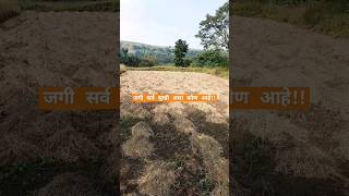 Bagh ughadun dar deva shortvideo nature song [upl. by Notrom]