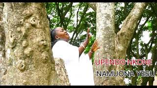 Upendo Nkone  NAMUONA YESU official audio [upl. by Airemat146]