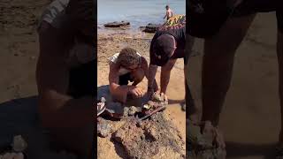 😍💦ARNHEM LAND 🤯🐠 REMOTE BEACH CAMPING ⛺️COBOURG PENNINSULA arnhemland travelaustralia [upl. by Leinad]