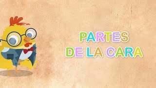 Aprende Las Partes de la caraBabyradio [upl. by Ydnyc248]